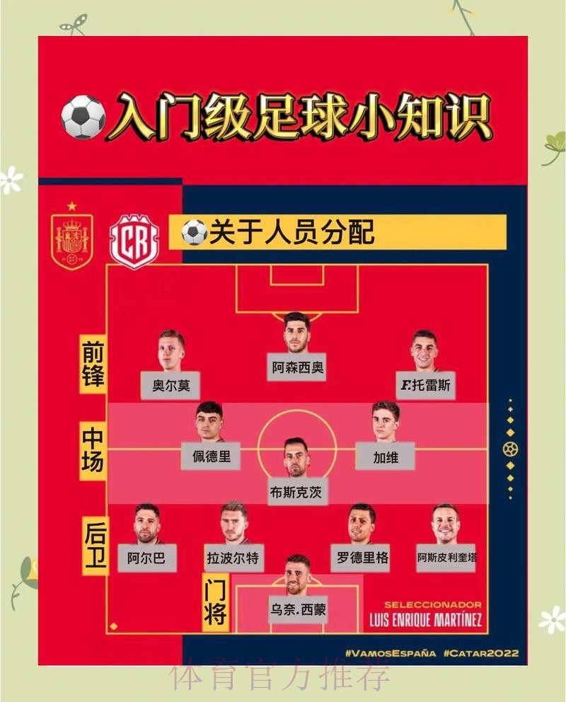 世界杯投注玩法全解：零基础快速入门